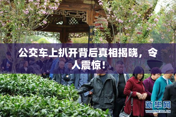 公交车上扒开背后真相揭晓，令人震惊！