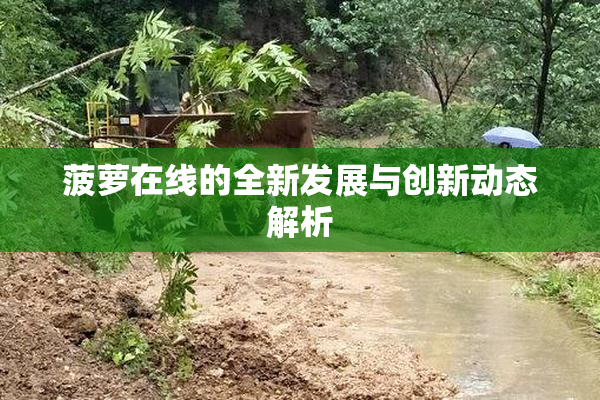 菠萝在线的全新发展与创新动态解析