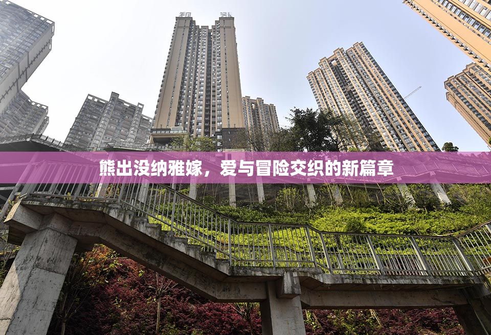 熊出没纳雅嫁，爱与冒险交织的新篇章