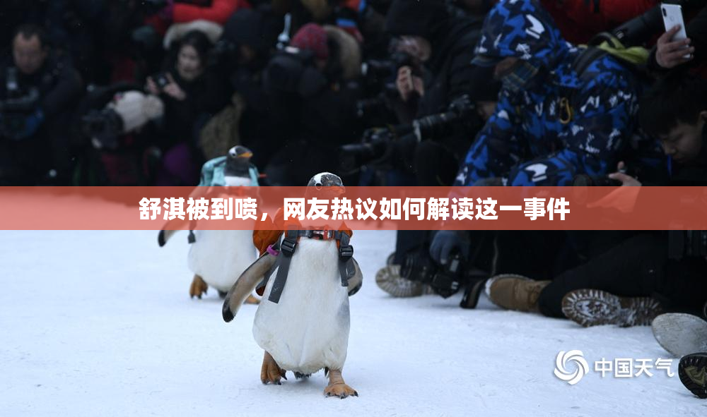 舒淇被到喷，网友热议如何解读这一事件