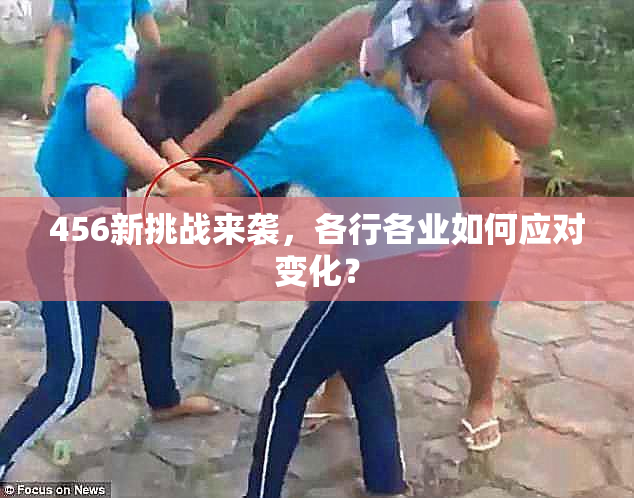 456新挑战来袭，各行各业如何应对变化？