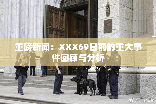 重磅新闻：XXX69日前的重大事件回顾与分析