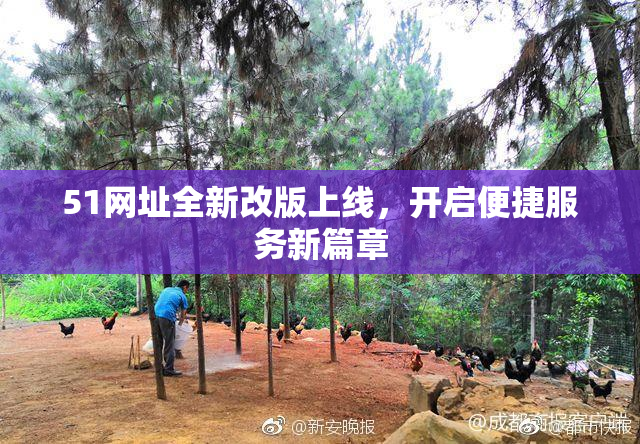 51网址全新改版上线，开启便捷服务新篇章