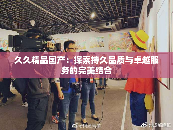 久久精品国产：探索持久品质与卓越服务的完美结合