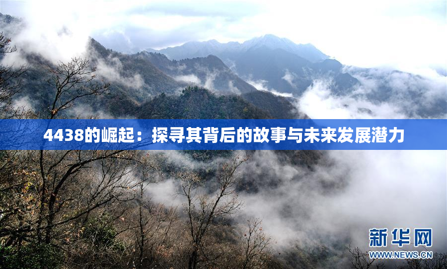 4438的崛起：探寻其背后的故事与未来发展潜力