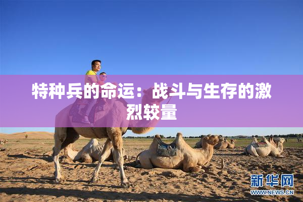 特种兵的命运：战斗与生存的激烈较量
