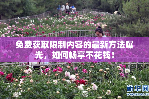 免费获取限制内容的最新方法曝光，如何畅享不花钱！