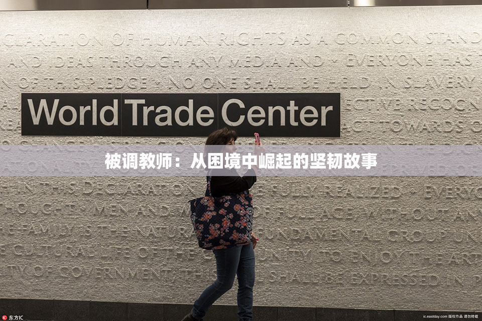 被调教师：从困境中崛起的坚韧故事