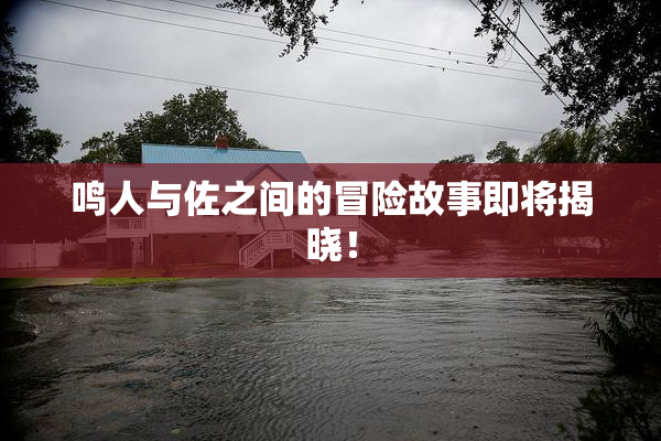 鸣人与佐之间的冒险故事即将揭晓！