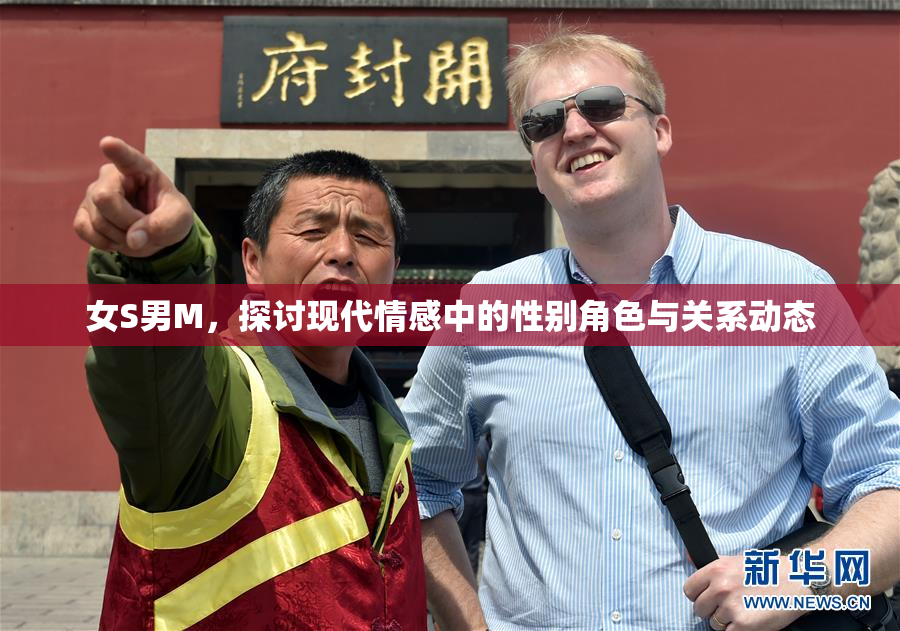 女S男M，探讨现代情感中的性别角色与关系动态