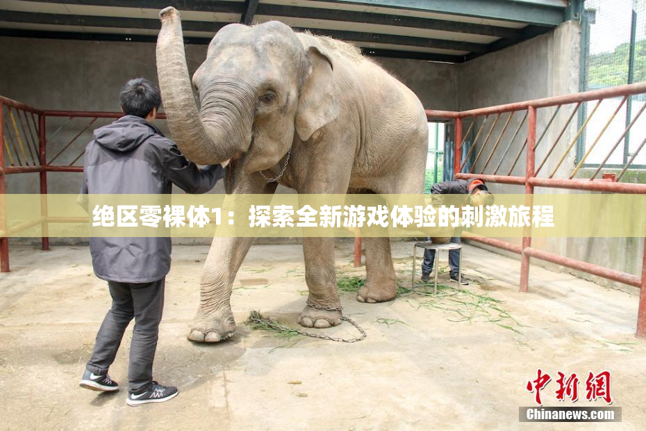 绝区零裸体1：探索全新游戏体验的刺激旅程