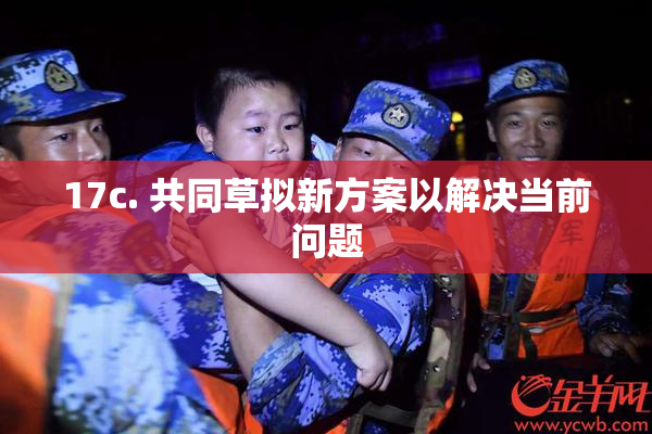 17c. 共同草拟新方案以解决当前问题