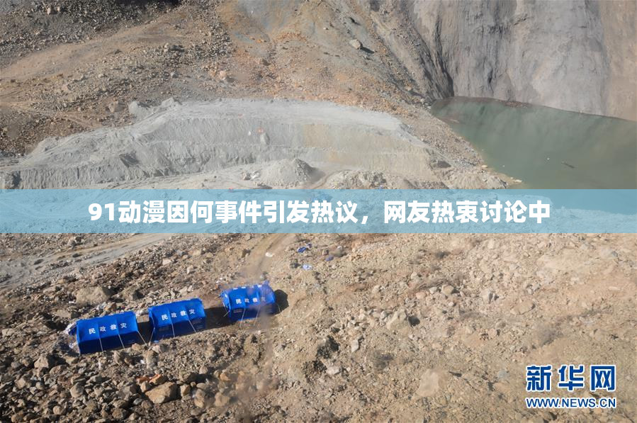 91动漫因何事件引发热议，网友热衷讨论中