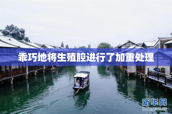 乖巧地将生殖腔进行了加重处理