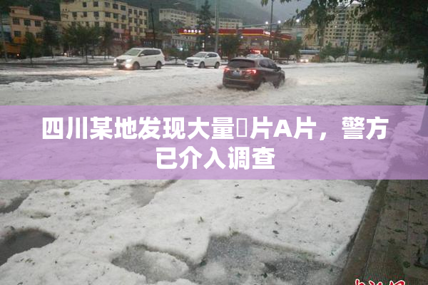 四川某地发现大量婬片A片，警方已介入调查