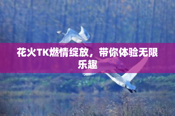 花火TK燃情绽放，带你体验无限乐趣