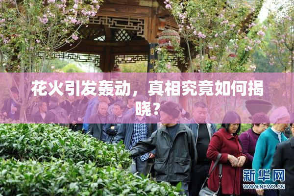 花火引发轰动，真相究竟如何揭晓？