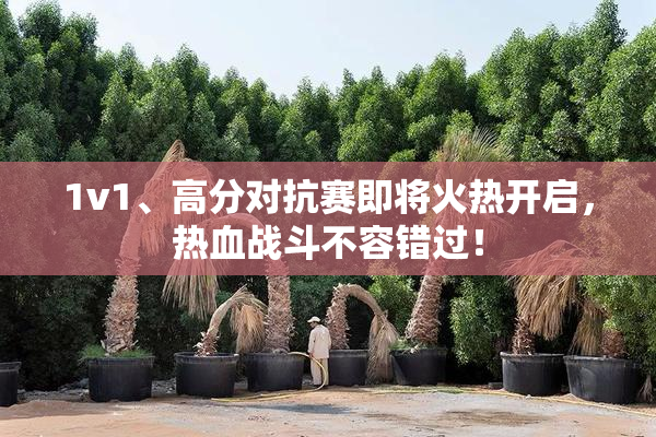 1v1、高分对抗赛即将火热开启，热血战斗不容错过！