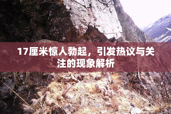 17厘米惊人勃起，引发热议与关注的现象解析