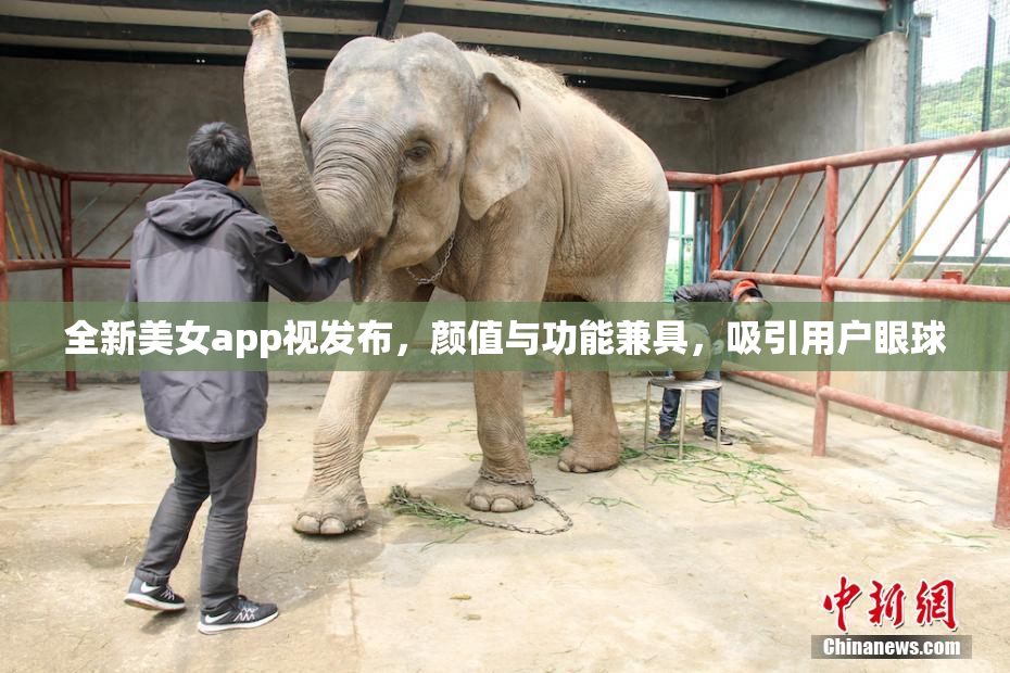 全新美女app视发布，颜值与功能兼具，吸引用户眼球