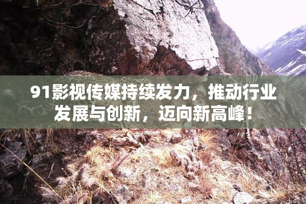 91影视传媒持续发力，推动行业发展与创新，迈向新高峰！