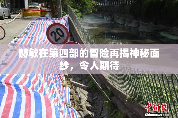 赫敏在第四部的冒险再揭神秘面纱，令人期待