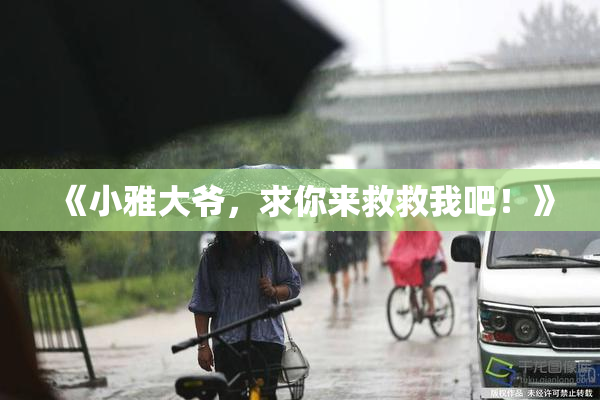 《小雅大爷，求你来救救我吧！》