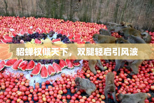貂蝉权倾天下，双腿轻启引风波