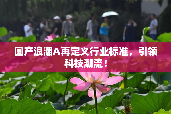 国产浪潮A再定义行业标准，引领科技潮流！