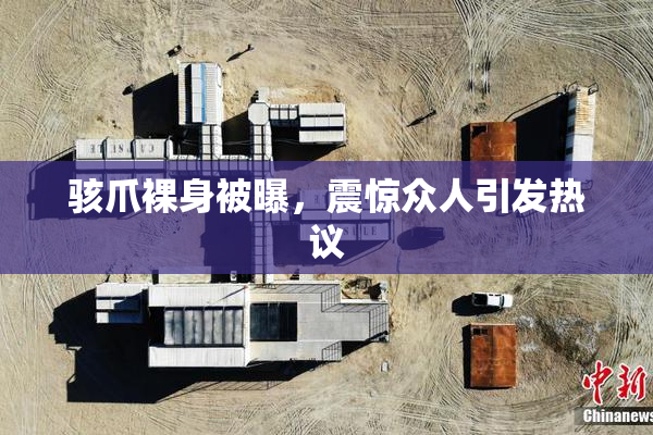 骇爪裸身被曝，震惊众人引发热议