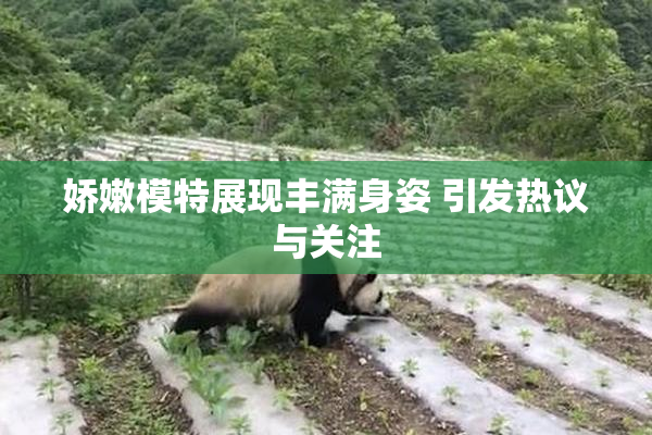 娇嫩模特展现丰满身姿 引发热议与关注