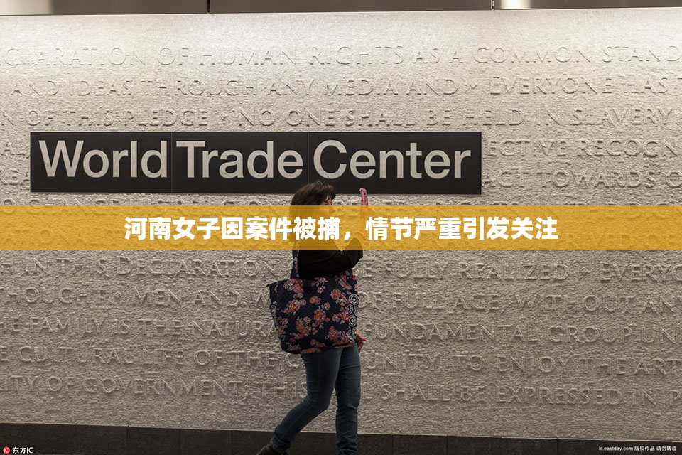 河南女子因案件被捕，情节严重引发关注
