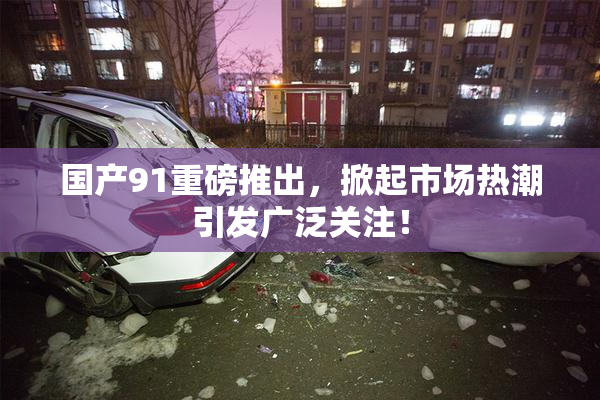 国产91重磅推出，掀起市场热潮引发广泛关注！