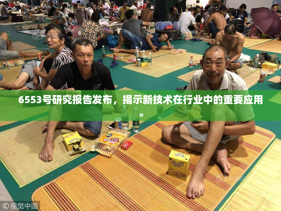 6553号研究报告发布，揭示新技术在行业中的重要应用。
