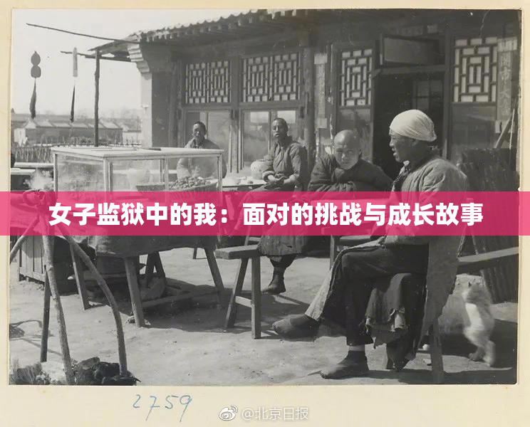 女子监狱中的我：面对的挑战与成长故事