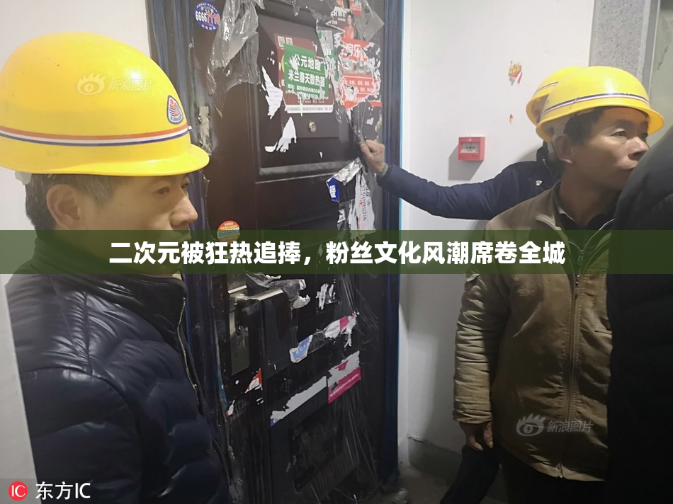 二次元被狂热追捧，粉丝文化风潮席卷全城
