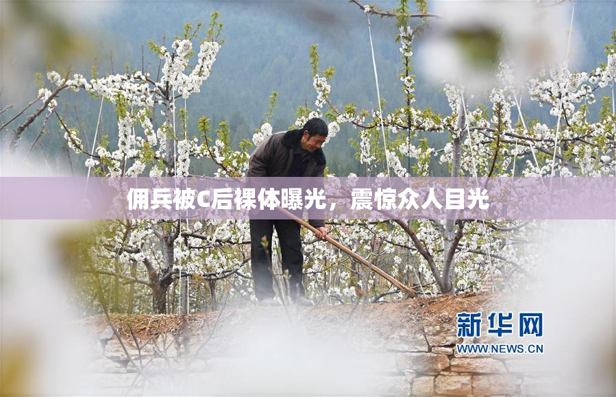 佣兵被C后裸体曝光，震惊众人目光
