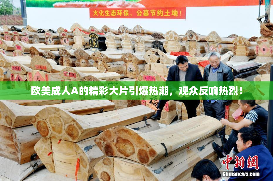 欧美成人A的精彩大片引爆热潮，观众反响热烈！