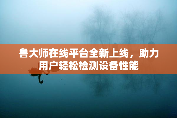 鲁大师在线平台全新上线，助力用户轻松检测设备性能