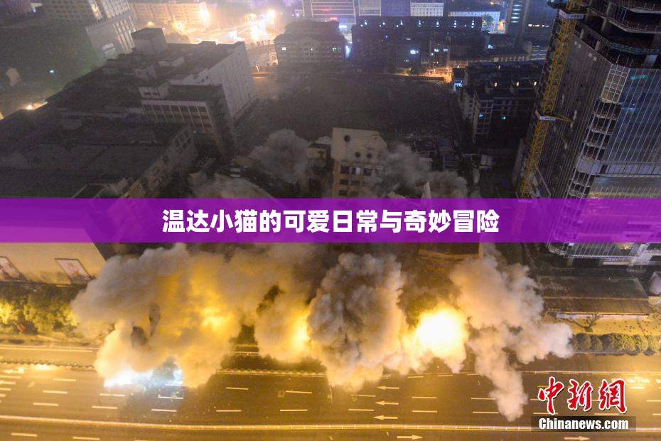 温达小猫的可爱日常与奇妙冒险