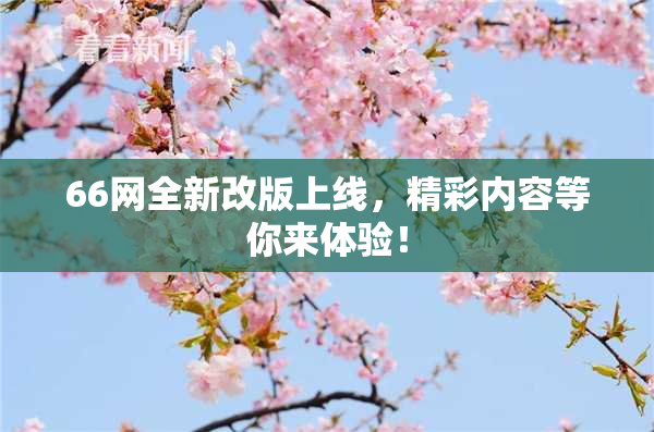 66网全新改版上线，精彩内容等你来体验！
