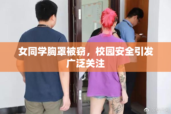 女同学胸罩被窃，校园安全引发广泛关注