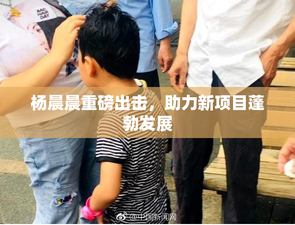 杨晨晨重磅出击，助力新项目蓬勃发展