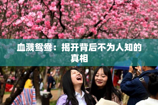 血溅鸳鸯：揭开背后不为人知的真相