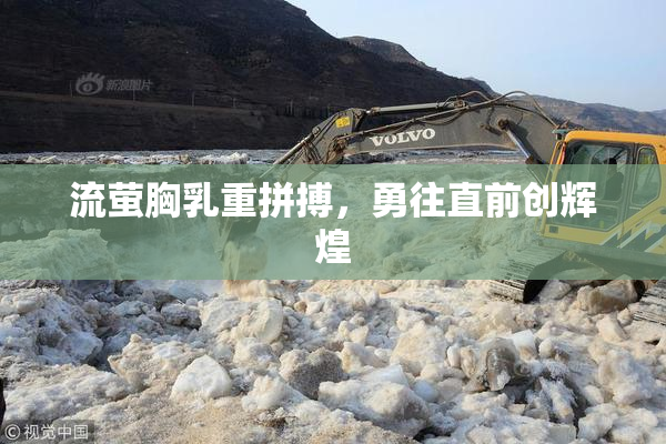 流萤胸乳重拼搏，勇往直前创辉煌