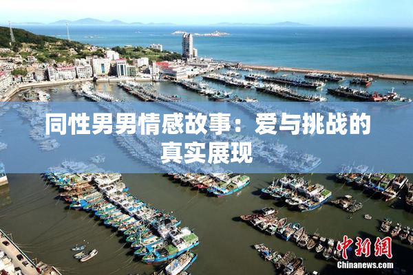 同性男男情感故事：爱与挑战的真实展现