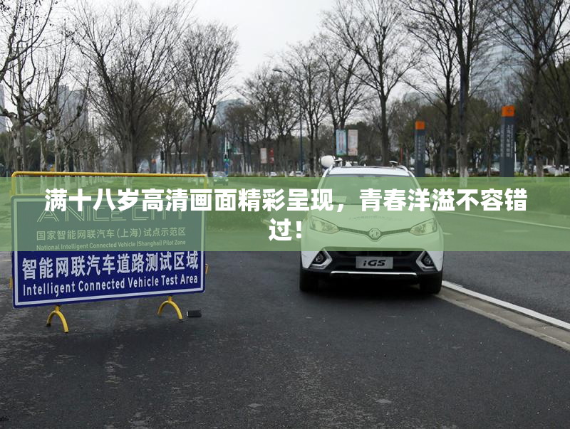 满十八岁高清画面精彩呈现，青春洋溢不容错过！