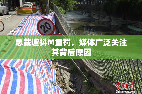 总裁遭抖M重罚，媒体广泛关注其背后原因