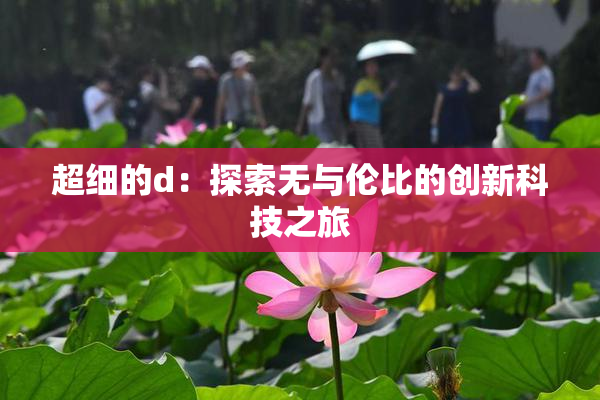 超细的d：探索无与伦比的创新科技之旅