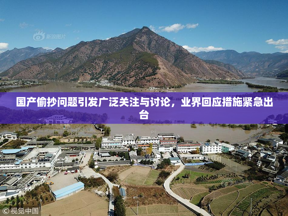国产偷抄问题引发广泛关注与讨论，业界回应措施紧急出台